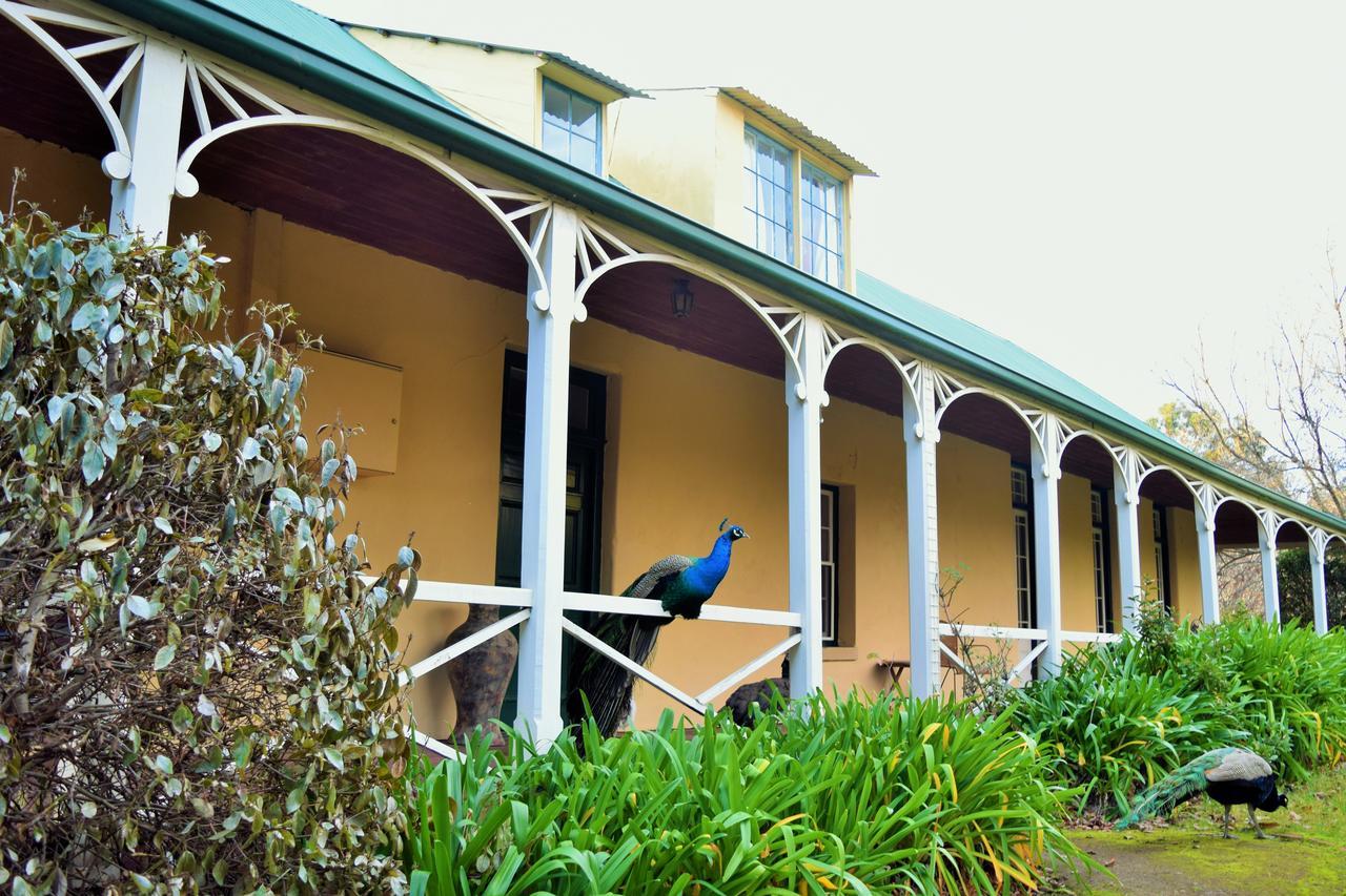 Cleburne Homestead Risdon Exterior photo